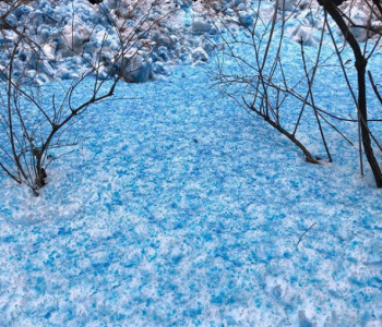синій сніг
