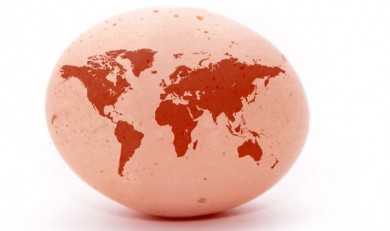 Egg-with-Map-730x433